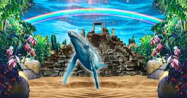 Free download Find joy on your own video and edit with RedcoolMedia movie maker MovieStudio video editor online and AudioStudio audio editor onlin