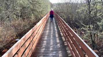 Free download Finley Boardwalk B (nature sounds) video and edit with RedcoolMedia movie maker MovieStudio video editor online and AudioStudio audio editor onlin