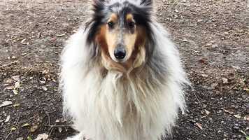 Free download FIRSTLINGS / POCKET FILMS / TEASER video and edit with RedcoolMedia movie maker MovieStudio video editor online and AudioStudio audio editor onlin