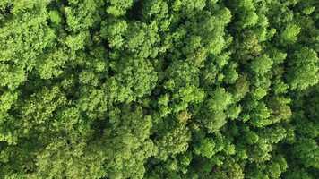 Free download First Video Edit video and edit with RedcoolMedia movie maker MovieStudio video editor online and AudioStudio audio editor onlin