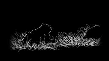 Free download fishing 2019 video and edit with RedcoolMedia movie maker MovieStudio video editor online and AudioStudio audio editor onlin