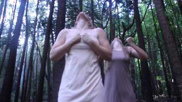 Free download Fissure (2020) video and edit with RedcoolMedia movie maker MovieStudio video editor online and AudioStudio audio editor onlin