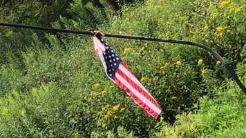 Free download Flagging 4th 2020 video and edit with RedcoolMedia movie maker MovieStudio video editor online and AudioStudio audio editor onlin