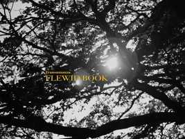 Free download FLEWID | transumnza video and edit with RedcoolMedia movie maker MovieStudio video editor online and AudioStudio audio editor onlin