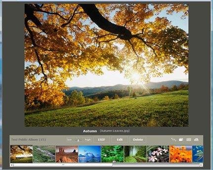 Download web tool or web app FlexiFoto