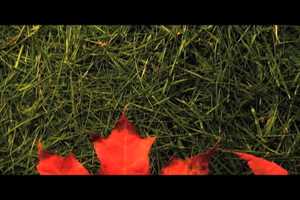 Free download Flip Frame Media sample reel video and edit with RedcoolMedia movie maker MovieStudio video editor online and AudioStudio audio editor onlin