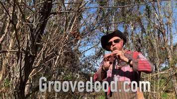 Free download Flootdood video and edit with RedcoolMedia movie maker MovieStudio video editor online and AudioStudio audio editor onlin