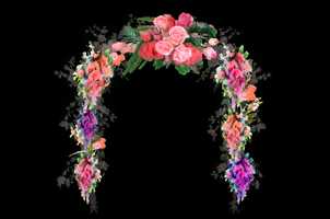 Free download Floral Arch Video Animation video and edit with RedcoolMedia movie maker MovieStudio video editor online and AudioStudio audio editor onlin