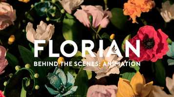 Free download FLORIAN. Behind the scenes: animation video and edit with RedcoolMedia movie maker MovieStudio video editor online and AudioStudio audio editor onlin