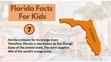 Free download Florida Facts For Kids video and edit with RedcoolMedia movie maker MovieStudio video editor online and AudioStudio audio editor onlin