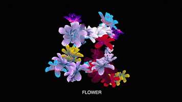 Free download Flower video and edit with RedcoolMedia movie maker MovieStudio video editor online and AudioStudio audio editor onlin
