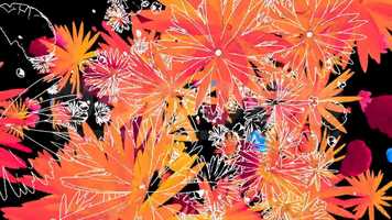 Free download Flower Outline - VJ Loop Pack (6in1) video and edit with RedcoolMedia movie maker MovieStudio video editor online and AudioStudio audio editor onlin