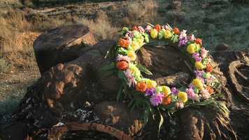 Free download Flowers and Bullets Trailer EN video and edit with RedcoolMedia movie maker MovieStudio video editor online and AudioStudio audio editor onlin