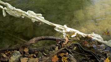 Free download Flowing Water video and edit with RedcoolMedia movie maker MovieStudio video editor online and AudioStudio audio editor onlin