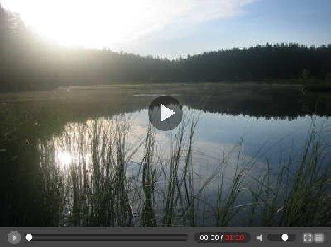 Download web tool or web app FlowPlayer - Video player for the Web