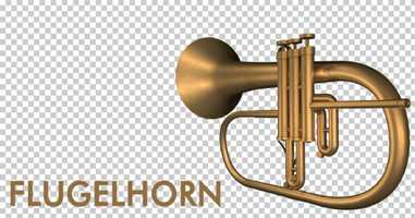 Free download Flugelhorn | Motion Graphics - Envato elements video and edit with RedcoolMedia movie maker MovieStudio video editor online and AudioStudio audio editor onlin