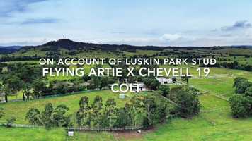 Free download Flying Artie x Chevell 19 colt video and edit with RedcoolMedia movie maker MovieStudio video editor online and AudioStudio audio editor onlin