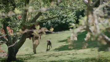 Free download FMG VIDEO 2_JOY OF LIFESTYLE BLOCK LIVING.mp4 video and edit with RedcoolMedia movie maker MovieStudio video editor online and AudioStudio audio editor onlin