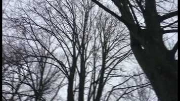 Free download Follow me she said video and edit with RedcoolMedia movie maker MovieStudio video editor online and AudioStudio audio editor onlin