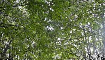 Free download FONTENAY LE COMTE - BIEN A VENDRE - 791 000  - 2000 m - 40 pices video and edit with RedcoolMedia movie maker MovieStudio video editor online and AudioStudio audio editor onlin