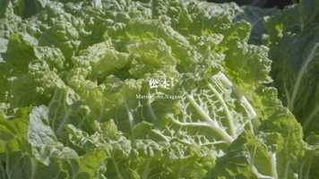 Free download Food music video_Trailer video and edit with RedcoolMedia movie maker MovieStudio video editor online and AudioStudio audio editor onlin