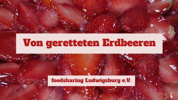 Free download Foodsharing LuBu - Von geretteten Erdbeeren video and edit with RedcoolMedia movie maker MovieStudio video editor online and AudioStudio audio editor onlin