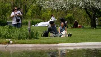 Free download Fools Paradise video and edit with RedcoolMedia movie maker MovieStudio video editor online and AudioStudio audio editor onlin