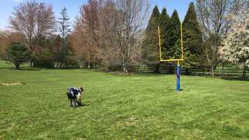 Free download Football Catch Challenge video and edit with RedcoolMedia movie maker MovieStudio video editor online and AudioStudio audio editor onlin