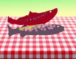 Free download Footballe de Benjamin video and edit with RedcoolMedia movie maker MovieStudio video editor online and AudioStudio audio editor onlin