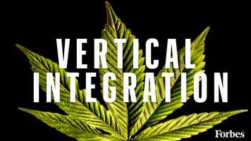 Free download Forbes - What Is Vertical Integration And Why Is It A Hot Topic In The Cannabis Industry video and edit with RedcoolMedia movie maker MovieStudio video editor online and AudioStudio audio editor onlin