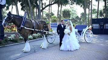 Free download Forest Country Club Wedding Video | Fort Myers, FL | Colette  Tyler video and edit with RedcoolMedia movie maker MovieStudio video editor online and AudioStudio audio editor onlin