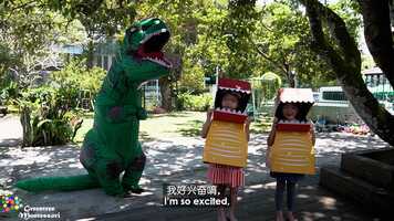 Free download Forest Fair 2021 Chinese Language Trailer video and edit with RedcoolMedia movie maker MovieStudio video editor online and AudioStudio audio editor onlin