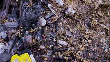 Free download Forest Fire Stock Video video and edit with RedcoolMedia movie maker MovieStudio video editor online and AudioStudio audio editor onlin