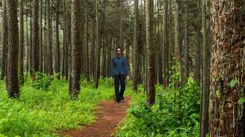 Free download Forest Guardian Short Film video and edit with RedcoolMedia movie maker MovieStudio video editor online and AudioStudio audio editor onlin