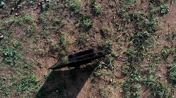 Free download Forest Rhapsody video and edit with RedcoolMedia movie maker MovieStudio video editor online and AudioStudio audio editor onlin