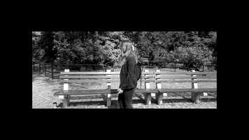 Free download For Here video and edit with RedcoolMedia movie maker MovieStudio video editor online and AudioStudio audio editor onlin