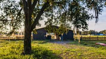 Free download For Info Text Land to 813-412-8995 video and edit with RedcoolMedia movie maker MovieStudio video editor online and AudioStudio audio editor onlin