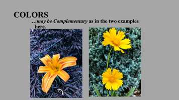 Free download (FORMAL) ELEMENTS OF ART OR GRAPHICS video and edit with RedcoolMedia movie maker MovieStudio video editor online and AudioStudio audio editor onlin