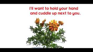 Free download For my next lover  Poetry Reading video and edit with RedcoolMedia movie maker MovieStudio video editor online and AudioStudio audio editor onlin