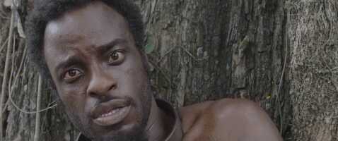 Free download Forr video and edit with RedcoolMedia movie maker MovieStudio video editor online and AudioStudio audio editor onlin