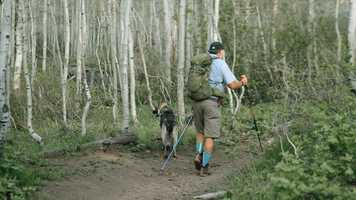 Free download For Riley video and edit with RedcoolMedia movie maker MovieStudio video editor online and AudioStudio audio editor onlin