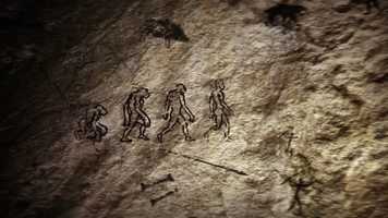 Free download Fortlyos vadvilg trailer video and edit with RedcoolMedia movie maker MovieStudio video editor online and AudioStudio audio editor onlin