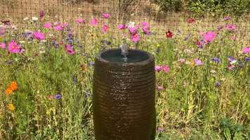 Free download Fountain (no voice) video and edit with RedcoolMedia movie maker MovieStudio video editor online and AudioStudio audio editor onlin