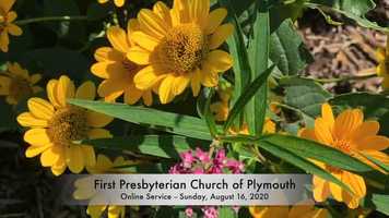 Free download FPCP 08-16-2020 video and edit with RedcoolMedia movie maker MovieStudio video editor online and AudioStudio audio editor onlin