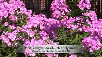 Free download FPCP 08-30-2020 video and edit with RedcoolMedia movie maker MovieStudio video editor online and AudioStudio audio editor onlin