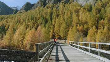 Free download France 3  Habillage TV 2020 - Alternative 1 video and edit with RedcoolMedia movie maker MovieStudio video editor online and AudioStudio audio editor onlin