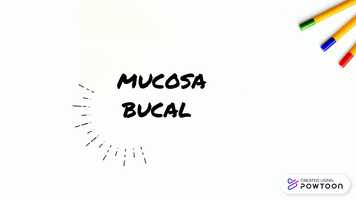 Free download Frederico video and edit with RedcoolMedia movie maker MovieStudio video editor online and AudioStudio audio editor onlin