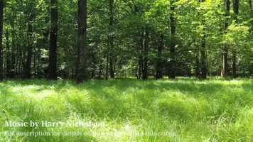 Free download FREE FILM MUSIC _ Atmospheric, Relaxing Instrumental Music (no copyright) video and edit with RedcoolMedia movie maker MovieStudio video editor online and AudioStudio audio editor onlin