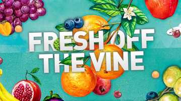 Free download Fresh_Off_The_Vine_Mini Movie video and edit with RedcoolMedia movie maker MovieStudio video editor online and AudioStudio audio editor onlin