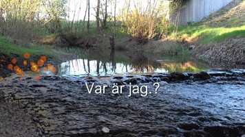 Free download frgesport annelv-kvrlv-dsjebro_rev02movie video and edit with RedcoolMedia movie maker MovieStudio video editor online and AudioStudio audio editor onlin